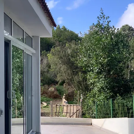 Casa Del Pino Campsite *