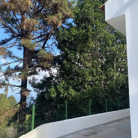 Casa Del Pino San Juan del Reparo